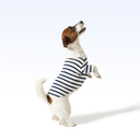 LRDC_PARISIAN PUP SHIRT